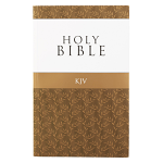 KJV OUTREACH BIBLE