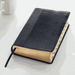 KJV GIANT PRINT STANDARD BIBLE WITH THUMB INDEX