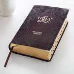 KJV GIANT PRINT BIBLE DARK BROWN THUMB INDEX  