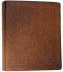 ESV JOURNALING BIBLE THRESHOLD DESIGN