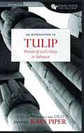 TULIP A STUDY GUIDE TO THE DVD