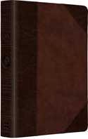 ESV LARGE PRINT COMPACT BIBLE