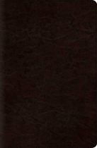 ESV CLASSIC REFERENCE BIBLE