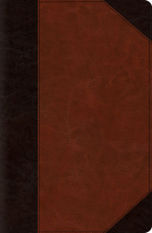 ESV CLASSIC REFERENCE BIBLE