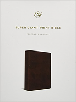 ESV SUPER GIANT PRINT BIBLE
