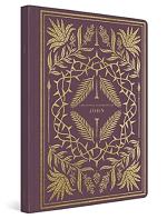 ESV ILLUMINATED SCRIPTURE JOURNAL JOHN