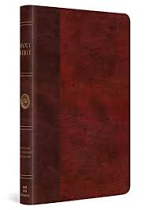 ESV LARGE PRINT THINLINE BIBLE BURGUNDY RED