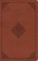 ESV THINLINE BIBLE TERRACOTTA