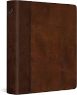 ESV JOURNALLING BIBLE BROWN TAN