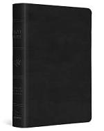 ESV LARGE PRINT COMPACT BIBLE BLACK