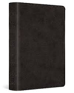 ESV LARGE PRINT VALUE COMPACT BIBLE BLACK