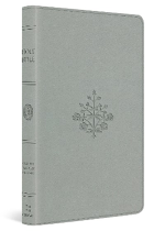 ESV LARGE PRINT VALUE THINLINE BIBLE