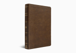 ESV DYSLEXIA FRIENDLY BIBLE BROWN