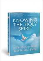 KNOWING THE HOLY SPIRIT HB