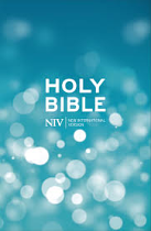 NIV POPULAR BIBLE ECONOMY HB