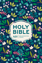 NIV POCKET BIBLE
