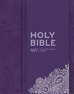 NIV THINLINE BIBLE