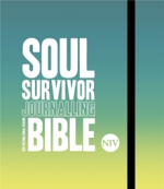 NIV SOUL SURVIVOR JOURNALLING BIBLE HB