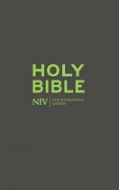 NIV POPULAR BIBLE WITH ZIP