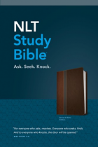 NLT STUDY BIBLE