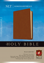 NLT SLIMLINE REFERENCE BIBLE