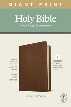 NLT GIANT PRINT PERSONAL SIZE BROWN BIBLE