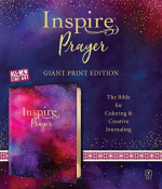 NLT INSPIRE PRAISE BIBLE LP IMITATION