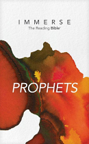 NLT IMMERSE BIBLE PROPHETS