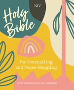 NIV VERSE MAPPING BIBLE