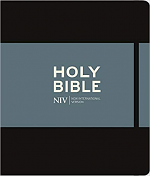 NIV JOURNALLING BIBLE 