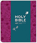 NIV JOURNALLING BIBLE