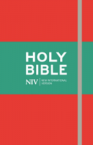 NIV THINLINE BIBLE RED SOFT TONE 