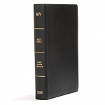 KJV LARGE PRINT PERSONAL SIZE REFERENCE BIBLE