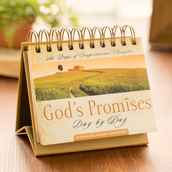 GODS PROMISES DAY BY DAY DAYBRIGHTENER