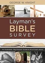 LAYMANS BIBLE SURVEY