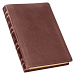 KJV LARGE PRINT COMPACT BIBLE MAHOGANY