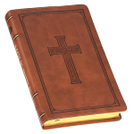 KJV DELUXE GIFT BIBLE TAN