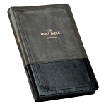KJV DELUXE GIFT BIBLE BLACK GREY ZIP
