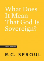 WHAT DOES IT MEAN THAT GOD IS SOVEREIGN?