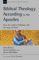 NSBT BIBLICAL THEOLOGY ACCORDING TO THE APOSTLES