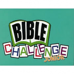 BIBLE CHALLENGE JUNIOR CARD GAME