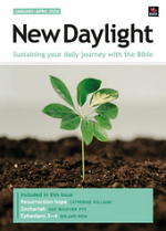 NEW DAYLIGHT DELUXE EDITION SUBSCRIPTION