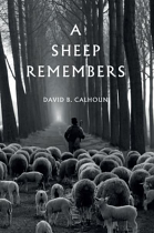 A SHEEP REMEMBERS