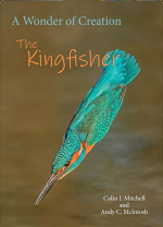 THE KINGFISHER: A WONDER OF CREATION