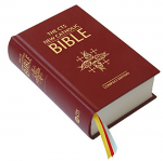 NEW CATHOLIC BIBLE STANDARD EDITION
