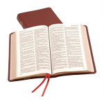 KJV WINDSOR TEXT BIBLE