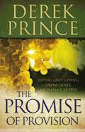 THE PROMISE OF PROVISION