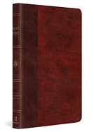 ESV LARGE PRINT THINLINE BIBLE