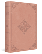 ESV DYSLEXIA FRIENDLY BIBLE
