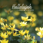 HALLELUJAH FLOWERS EASTER CARDS PACK OF 5